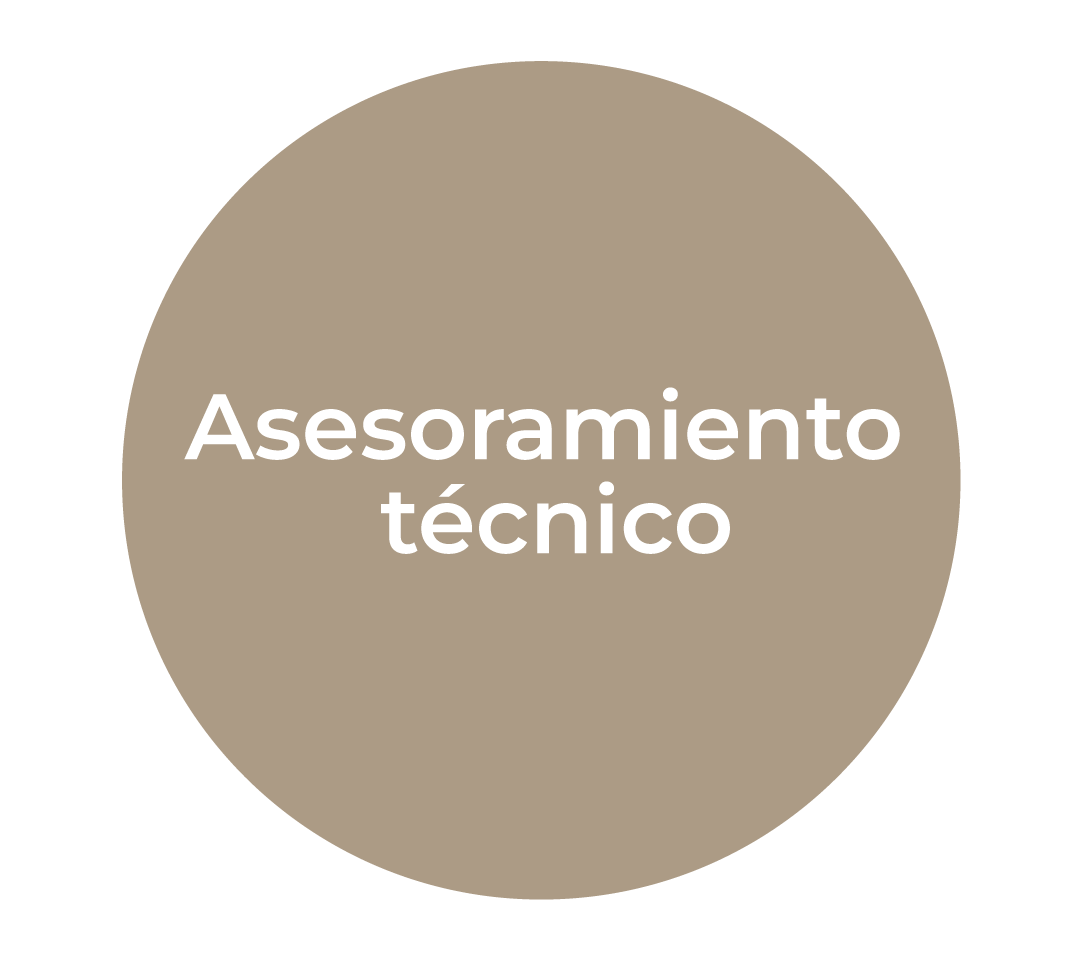 Circunferencia con el siguiente texto centrado: Asesoramiento técnico.
