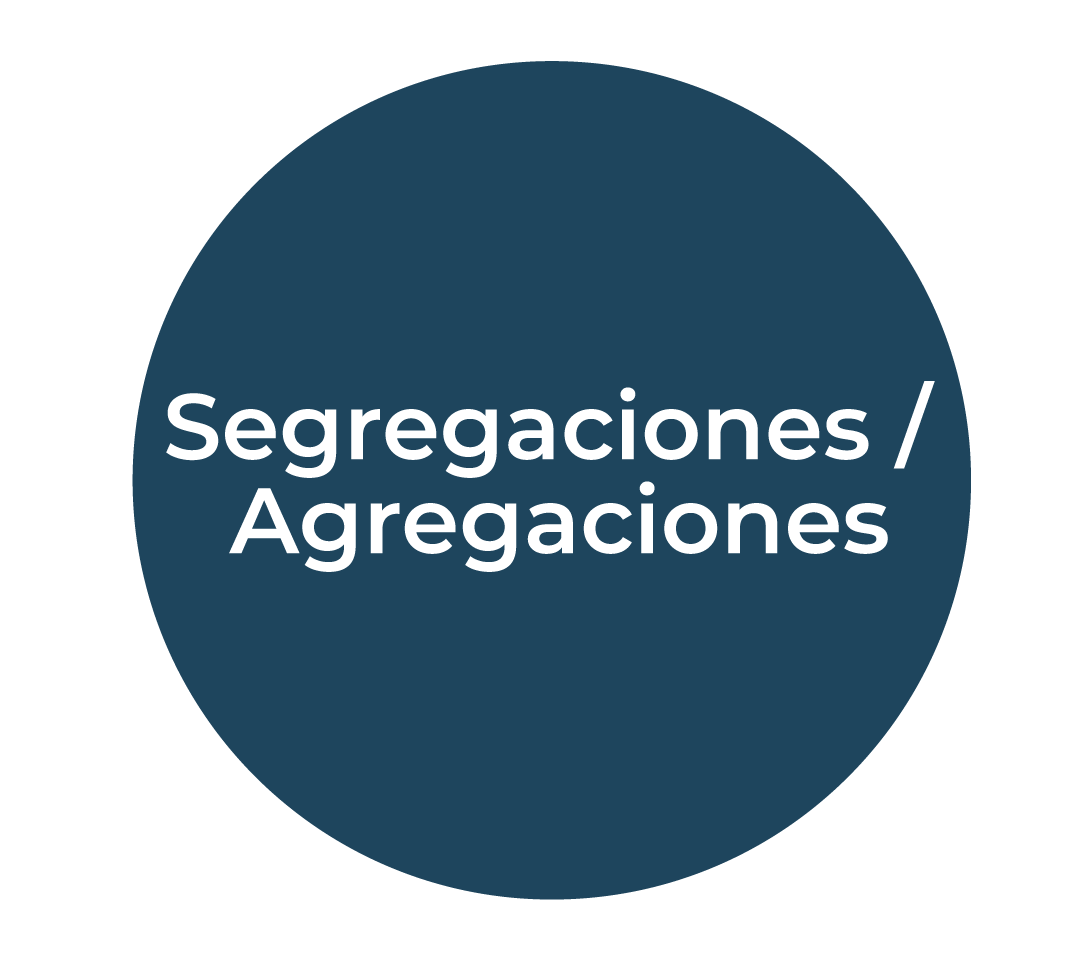 Circunferencia con el siguiente texto centrado: Segregaciones/Agregaciones